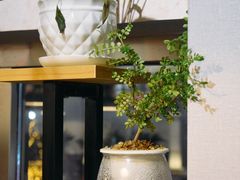 -金陵暴走小龙虾·迷踪蟹(凯德MALL店)