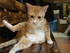 -逃脱反斗城沉浸剧情密室(北京路店)