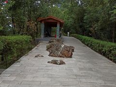 -神光山国家森林公园