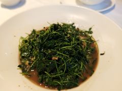 蚌肉金花菜-洋洋中餐馆·SINCE 1997(信投店)