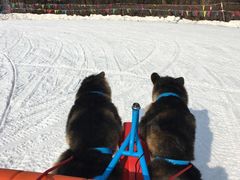 -北京亚布洛尼朝阳公园滑雪场