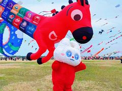 -潍坊滨海云门国际风筝放飞场
