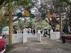 -东南花都花博园