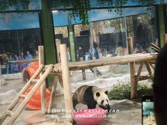 -栾川竹海野生动物园