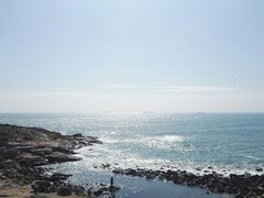 -广东惠东海龟国家级自然保护区