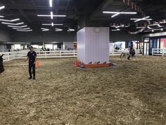 -骑乐马术(广州奥体优托邦中心)