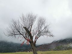 -硗碛藏寨·神木垒景区