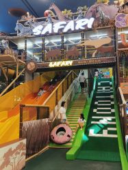 -卡通尼·Safari非洲探索乐园·生日会(金桥国际商业广场店)