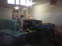 -兴芮温泉度假区