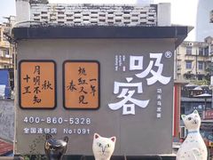 -猫咪博物馆(顶澳仔猫街店)