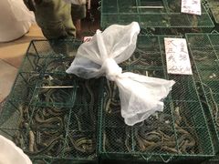 -荔城生鲜盛宴(番禺旗舰店)