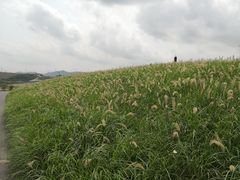 -光明小镇欢乐田园