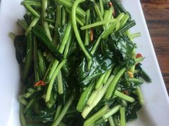 -菌之家·专业纯野生菌火锅·特色炒菌