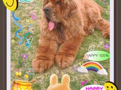 -趣玩宠物乐园寄养训犬训狗游泳池