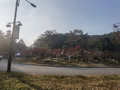 -广州市帽峰山景区
