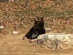 -北京野生动物园