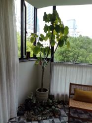 -Fancy梵汐·轻奢量肤定制