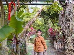 -呀路古热带植物园