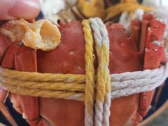 -阳澄湖大闸蟹·琼灵阁牌品牌连锁(吴中总店)