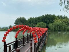 -白塔湖国家湿地公园