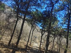 -北京西山国家森林公园