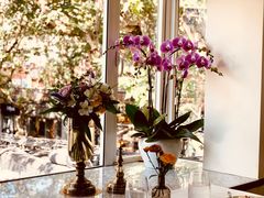 -蝶舍·MAISON PAPILLON