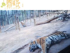 -云南野生动物园