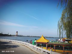 -溱湖国家湿地公园