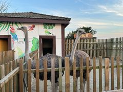 -太阳岛旅游度假区