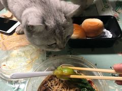 红烧牛腩面-禧座港式餐厅(星河店)