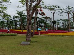 -芒洲湿地公园