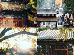 -潭柘寺景区
