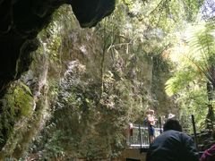 -怀托摩萤火虫洞