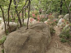 -崂山巨峰游览区