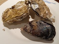 -星伦多自助料理(爱琴海店)