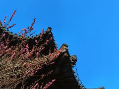 -莫愁湖公园