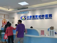 -北京观赏动物医院·24小时大型综合·猫专科·异宠专科