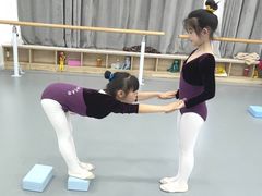 -西安小天鹅艺术团(金花路校区)