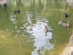 -北京野生动物园