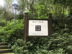 -宋宴(虎跑店)