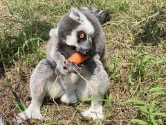 -杭州野生动物世界