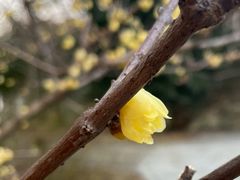 -江南大学(蠡湖校区)