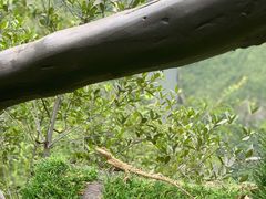 -重庆云阳龙缸景区