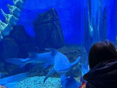 -波塞冬旅游度假区