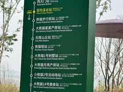 -都江堰中华大熊猫苑