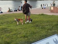 -台场海滨公园船码头