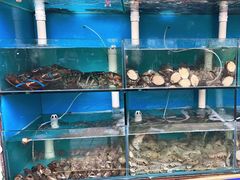 水产区-名超海鲜烧烤大排档