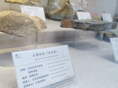 -延庆地质公园博物馆