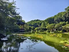 -云溪植物园
