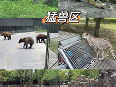 -上海野生动物园